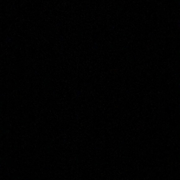 Meet your Posher, Lily - Picture 1 of 1